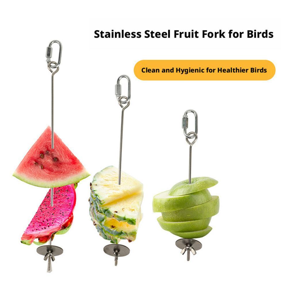 حامل طعام للببغاوات والطيور من - مراجعة Smart Garden Kitchen وسعره